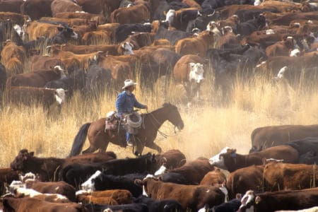 Texas Farm and Ranch Lawyer