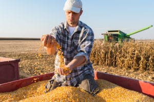 GMO Corn Lawsuit Settlement
