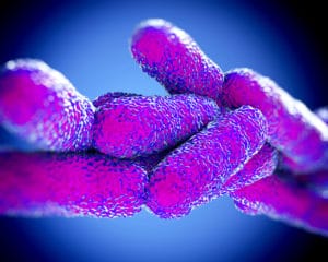 If you had Legionnaires' disease after staying at Rio Las Vegas, contact our Texas lawyers for lawsuit info at (866) 879-3040.