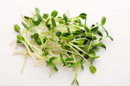 Whole Foods Recalls Bean Sprouts in Florida
