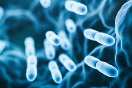Bacteria Contamination