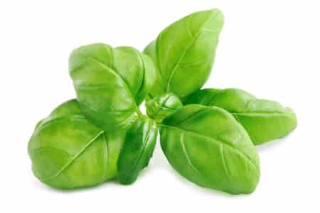 Basil Cyclospora Lawsuit