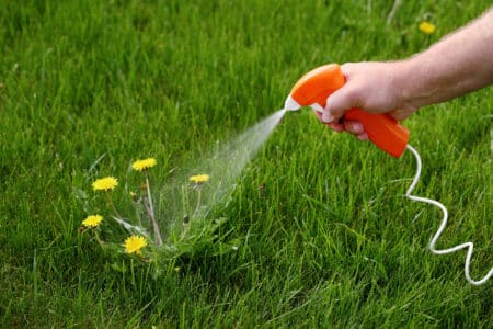 Roundup Weed Killer Lawsuit