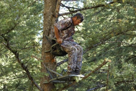 Tree Stand Lawsuit