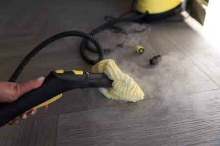 Texas Wagner Power Steamer Burn Injury Lawsuit