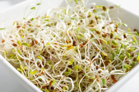 Texas Alfalfa Sprouts E. Coli Lawsuit