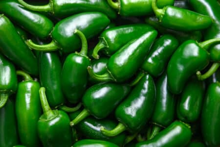 Texas Jalapeño Pepper Salmonella Lawsuit